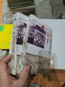 山西新军决死第三纵队 上下