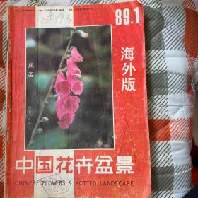 中国花卉盆景（1989年1-6期，4.5期合刊）