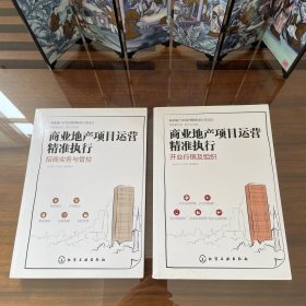 商业地产项目运营精准执行丛书：开业行销及组织、招商实物与管控（2册合售）