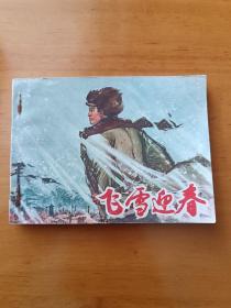 飞雪迎春