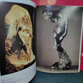 rodin tim marlow (8开外版艺术文献，罗丹）