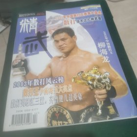 精武 2004 2