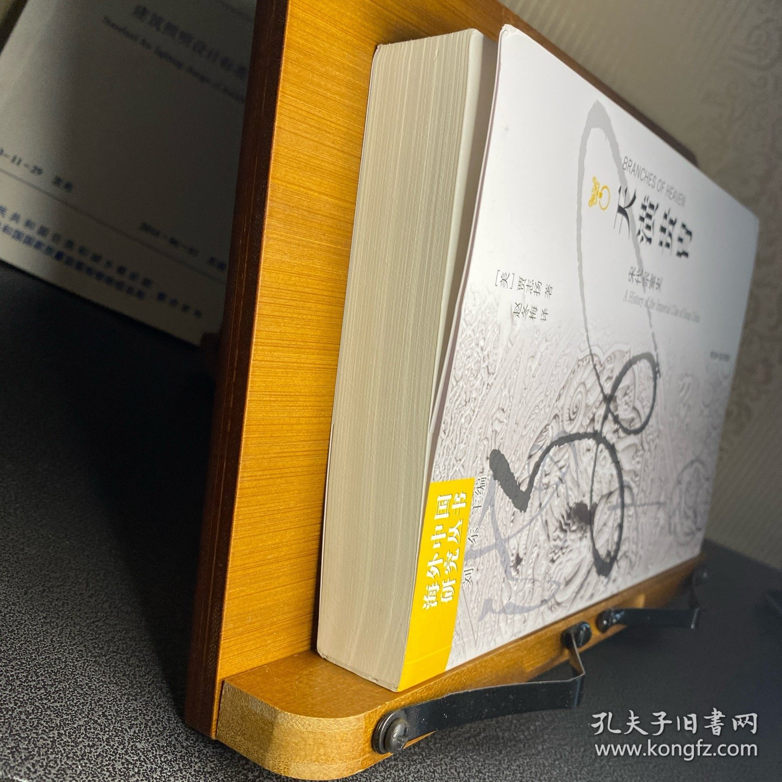 天潢贵胄：宋代宗室史