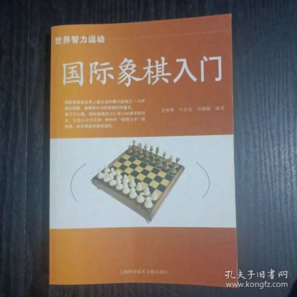 国际象棋入门