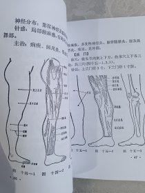 红医针疗法