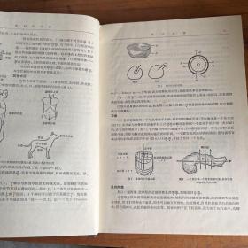 解剖学方法 格兰特