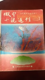 小说选