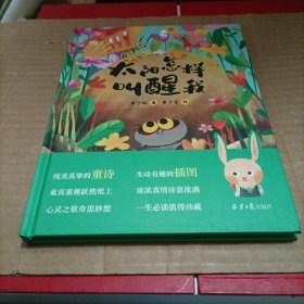 太阳怎样叫醒我