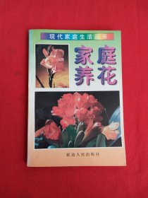 现代家庭生活丛书——家庭养花（包邮）