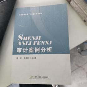 审计案例分析(北京联合大学十二五规划教材)