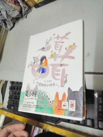 毛茸茸:和宠物的小时光