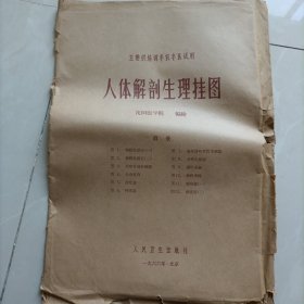 人体解剖生理挂图 1.2.4.5.6.7.8.9.11.12幅图
