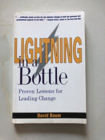 Lightning in a Bottle：Proven Lessons for Leading Change【原版英文】32开本