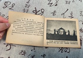 凤落梧桐
