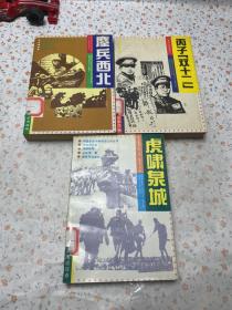 中国革命斗争报告文学丛书 西北决战卷 西安事变卷 济南战役卷 3册