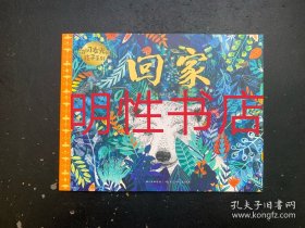 闪闪发光的孩子系列：回家
