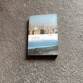 大中东行纪