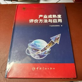 产业成熟度评价方法与应用（航天科技图书出版基金资助出版）