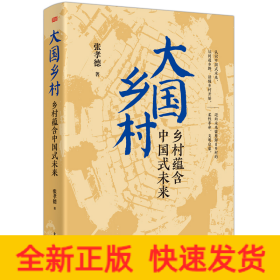 大国乡村：乡村蕴含中国式未来