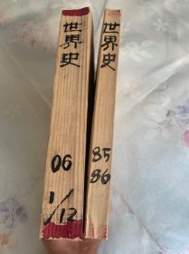 复印报刊资料 世界史 1985年第5期、1986年第1、2、3、4、6期 2006年第 1、2、3、4、5、6、7、8、9、11、12期 合售17期