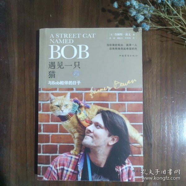 遇见一只猫:与Bob相伴的日子