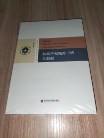 知识产权视野下的大数据【珞珈法学精品文库】
