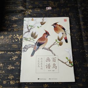 百鸟画谱：画出最美的工笔花鸟（中文版）