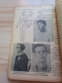 民国出版期刊 科学画报第八卷第十二期，封面-机械化部队中最新式平射高射两用加农炮，内有普及教育与科学，人造纤维奈纶创造小史，四千年前的木乃伊，盲鳗，止血的毒蛇液，喷嚏研究，谈毒物，军队的机械化和摩托化，铝的发展，酒精用於飞机燃料之可能，别开生面的种种脚踏车，弯曲的油井，电子照相机，花的部分，月曾一度休息在太平洋中，身体内的盐类，书(关于书的话)，乌贼，集中家常实用化学方剂，接收线路的基本原理等