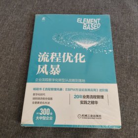 流程优化风暴：企业流程数字化转型从战略到落地