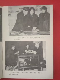 怀念刘少奇同志