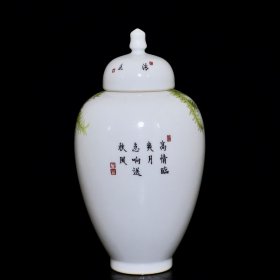 清乾隆粉彩虫草纹罐 24.5/13厘米