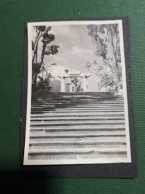 香港早期公园黑白老照片