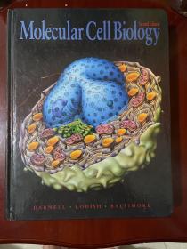 Molecular Cell. Biology