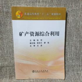 矿产资源综合利用/普通高等教育“十二五”规划教材