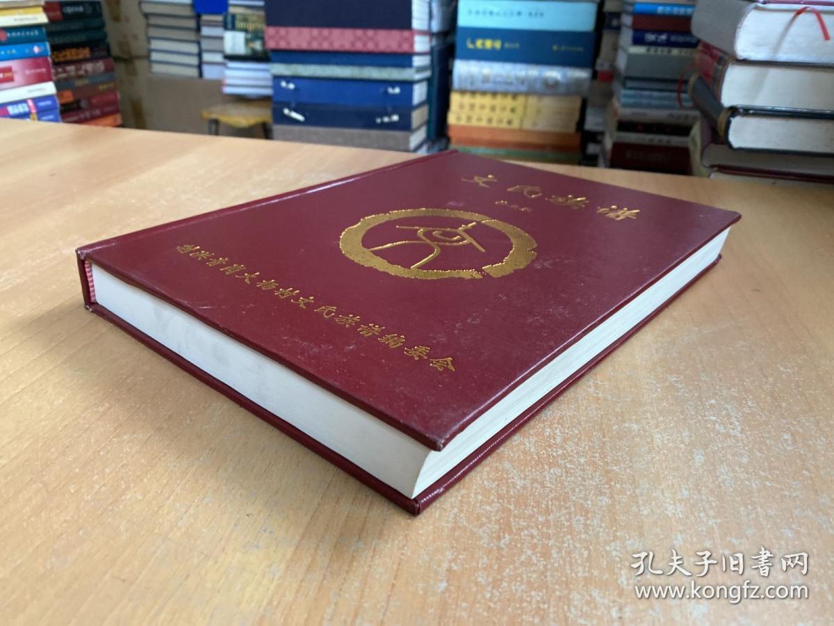 射洪青岗大杨村 文氏族谱 修正版（大16开精装本）