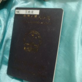 护照3