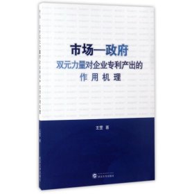 市场－政府双元力量对企业产出的作用机理 9787307128569