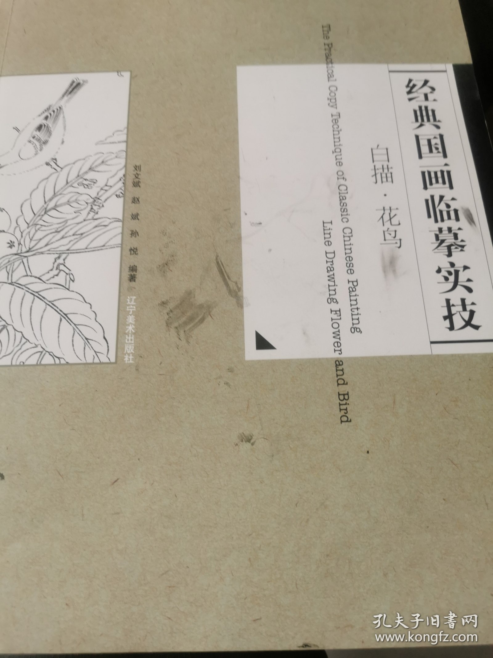 经典国画临摹实技：白描·花鸟