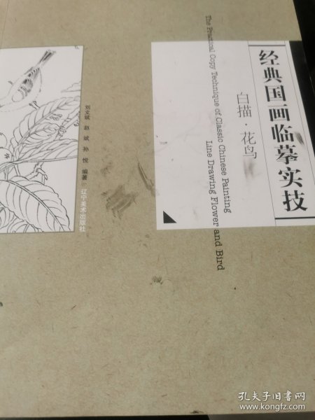 经典国画临摹实技：白描·花鸟