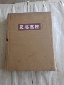 灵感高原 中国美术作品集. 8开布面精装函套