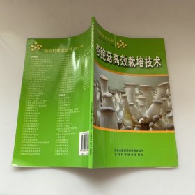 杏鲍菇高效栽培技术