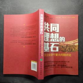 共同理想的基石：国有企业若干重大问题评论