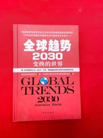 全球趋势2030：变幻的世界（精装）