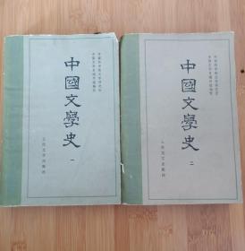 中国文学史（1、2册）