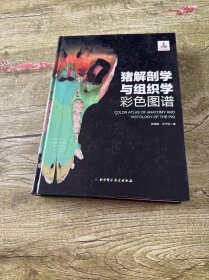 猪解剖学与组织学彩色图谱