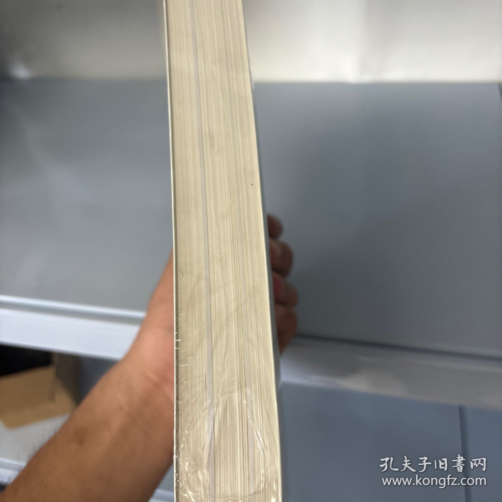 习近平谈治国理政（第四卷）（中文平装）