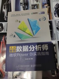 人人都是数据分析师：微软Power BI实践指南