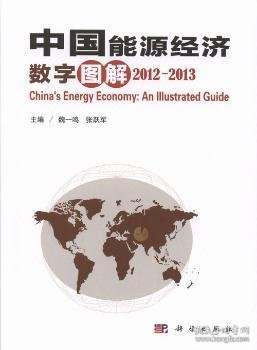 中国能源经济数字图解:2012-2013 魏一鸣，张跃军主编 9787030382788
