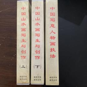 新编中国画技法示范教程--中国山水画写生与创作 上下 两盘合售