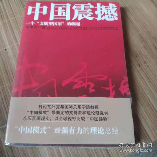 中国震撼：一个“文明型国家”的崛起